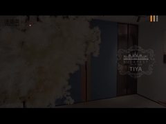 Fadior 3a geração guarda-roupa de aço inoxidável